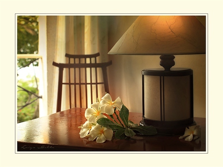 Serenity - light, peaceful, curtain, chair, mp, window, pretty, petals, table, flowers