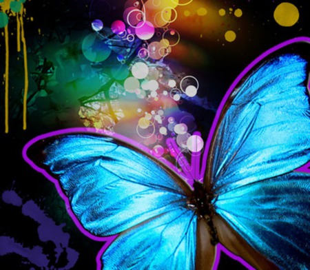 Splash of Color - rainbow, color, butterfly, blue