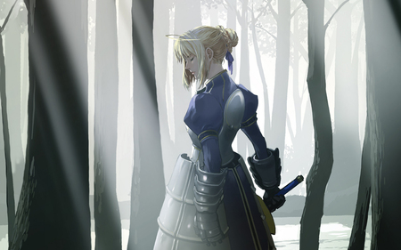 The Lonely Knight - saber, knight, king, fate stay night, arturia, forest, game, anime, sword, excalibur