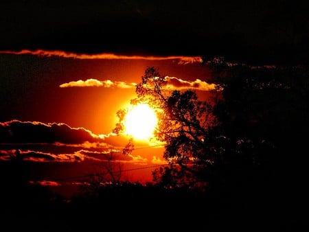 Beautiful Sunset - nature, sky, clouds, sun, orange, tree, sunset, shadow