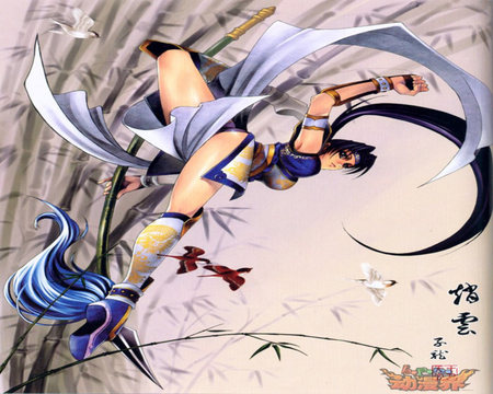 Zhao Yun - fly, dynasty warriors, zhao yun, female, anime girl, kick high