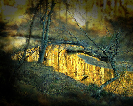 Golden river - beauty, landscape, trees, background, branch, water, gold, nature, interesting, amazing, yellow, reflection, golden, rivers