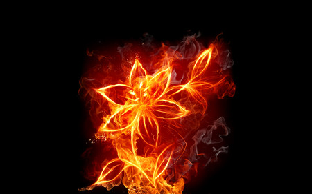 Fiery Flower - fire, hd, fiery, flower, firework