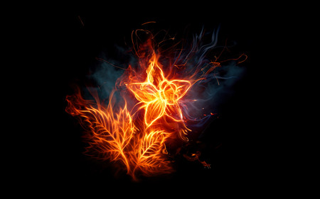 Fiery Flower - fire, hd, fiery, flower, firework