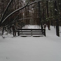 gate at the end of the road