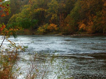 new river - fish, nature, water, river