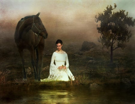 evening - evening, lake, lady, horse