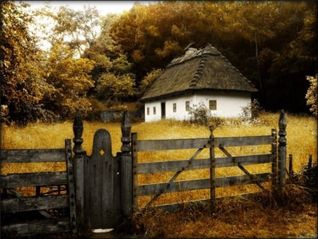 gate to cottage - gate, fence, field, cottage, trees, country