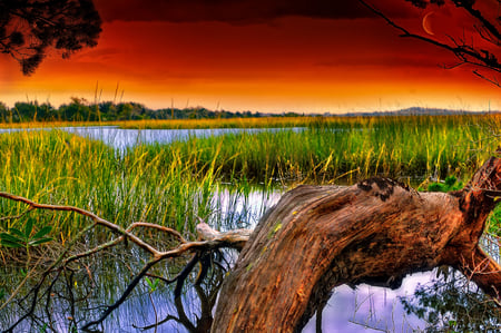 Sunset-HDR - nice, sky, trees, photography, water, sunset, cool, river, clouds, hdr, grass, moon, landscape, nature, beautiful, red, colors, photo