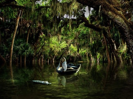 EVERGLADES - forest, gator, water, canoe, female, trees, everglades