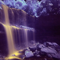 GOLDEN WATERFALL