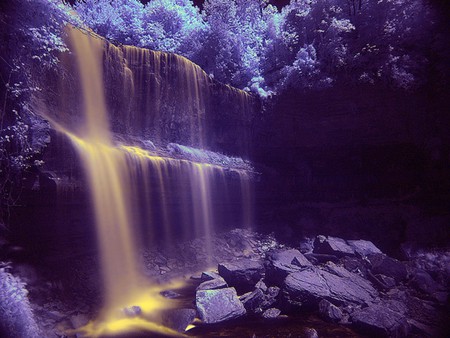 GOLDEN WATERFALL - trees, golden, waterfall, rocks