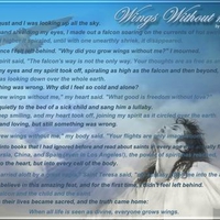Wings Without me...