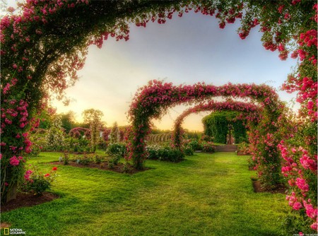 heaven - pure, imaginary, national geographic, relaxation, red, beautiful, green, flowers, awesome, grass