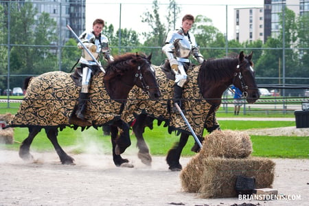 Joust - nature, horses, hay, black horses, joust