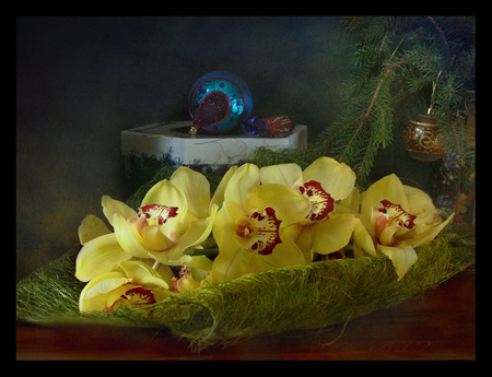 Still life with orchids - beauty, elegance, yellow, orchid, sensitivity, green, color, still life