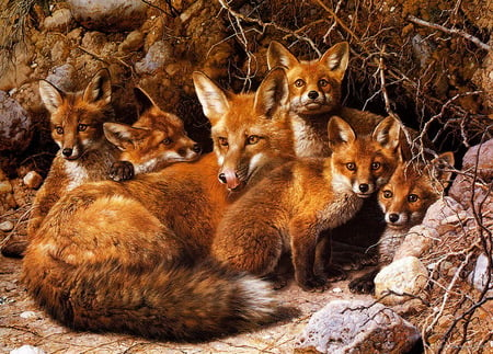 The fox family - quiet, whelp fox, fox, together, secure, family, mother fox, nature, place, animals, wild