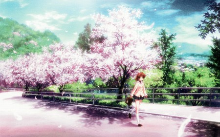 Sakura Hill - key, game, anime, school, nagisa, furukawa, walk, bag, uniform, clannad