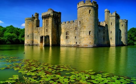 BODIAM CASTLE - moat, trees, water, summer, tower, forest, england, lake, bodiam, castle, sky