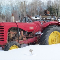 Massey Harris tractor