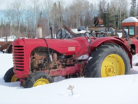 Massey Harris tractor - tractor, massey, harris, farm