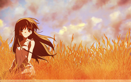 The Gentle Smile - world, game, anime, girl, clannad, key, ushio, illusionaru, fields, sunset