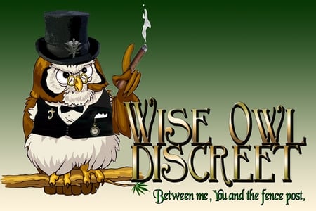 WISE OLD OWL - owl, bird, wise, old