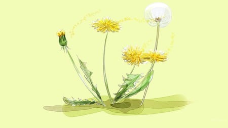 Dandy Lion - abstract, fireofx persona, lawn, dandelion, flower, fluff, hated, weed, art