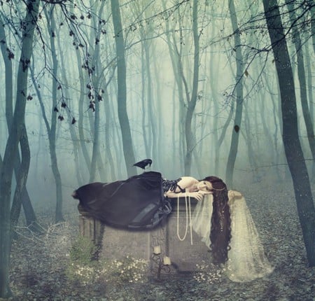 FORGOTTEN BY HER PRINCE - bird, fantasy, female, forest