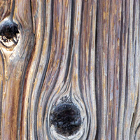 Weathered Pole