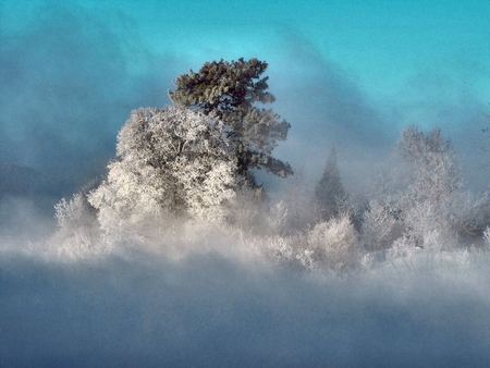 Rideout Bay, Ontario - nature, photography, winter, scenery, photo, rideout