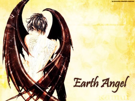 Earth Angel - x, bat wings, angel, x 1999, earth, tatoo, shirou kamui