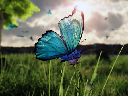 spring - green, butterfly, cg, 3d