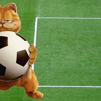 Garfield Plays Soccer