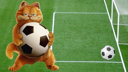 Garfield Plays Soccer - game, cartoon, ball, firefox persona, cat, garfield, sport, field, soccer