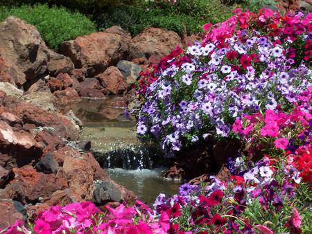 Garden - nature, water, flowers, rocks