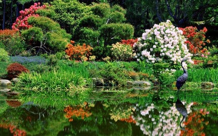 Spring - nature, water, flowers, forests