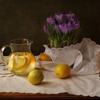 still life