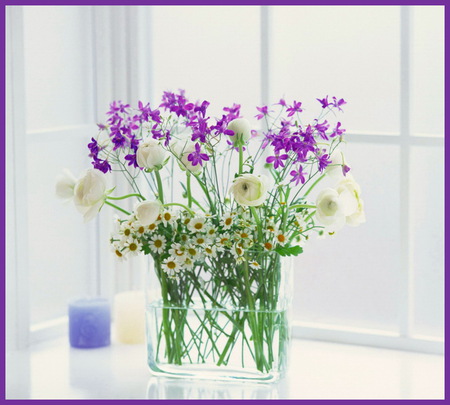 Light and flowers - white, purple, window, light, green, flowers