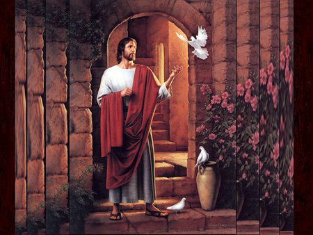 Sweet Lord Jesus - christ, jesus, door, dove, religion, christianity, god, flower