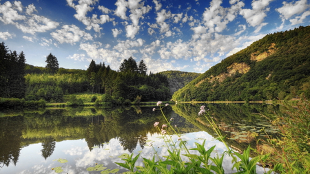 Mountain lake - sky, lake, forest, mountains