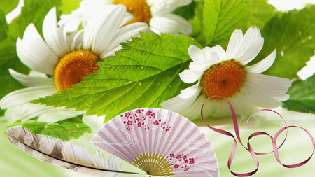 Daisies and Fan - nature, summer, ribbon, fan, spring, floral, flower, bird feather