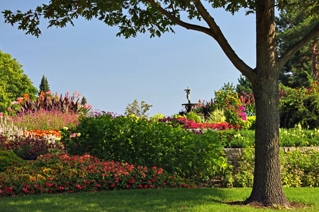 Garden - flowers, forest, nature, gardens