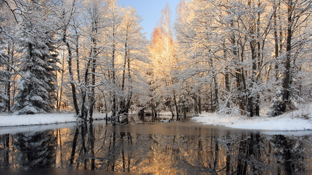 The river in winter wood - winter, rivers, forests, snow