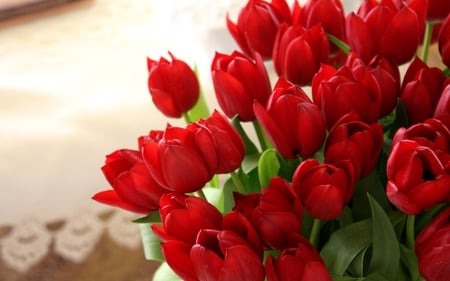 RED TULIPS - tulips, red, spring, arranged, bouquet