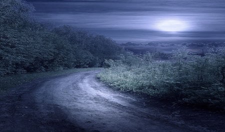 MYSTIC NIGHT - mystic, sky, forest, clouds, night, moonlight, road