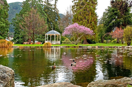 Gazebo - blossoms, pond, beautiful, gazebo, bench, spring, ducks, park