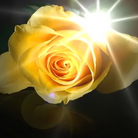 I wish you roses and sunshine