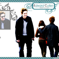 Edward Cullen1