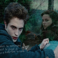 Edward and Bella: Forbidden to remember, terrified to forget it, it was a hard line to walk.